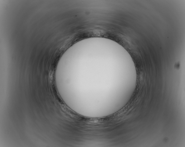 X0000090910177200707301040