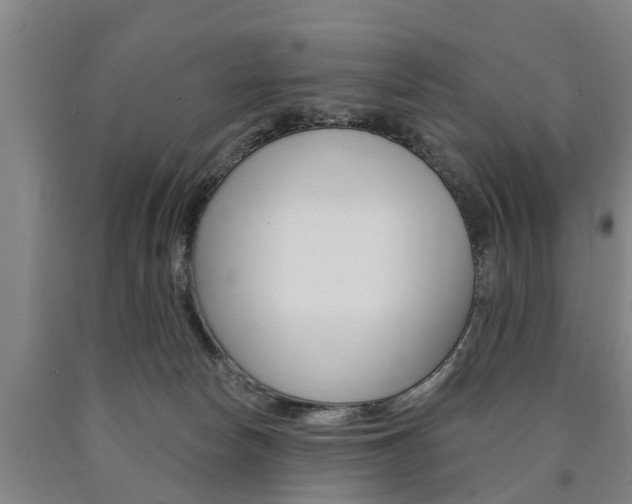 X0000090910178200707301040