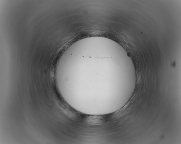 X0000090910179200707301040