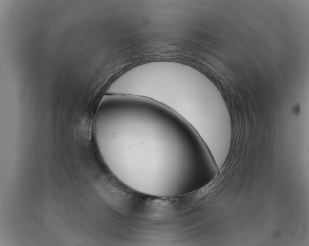 X0000090910180200707301040