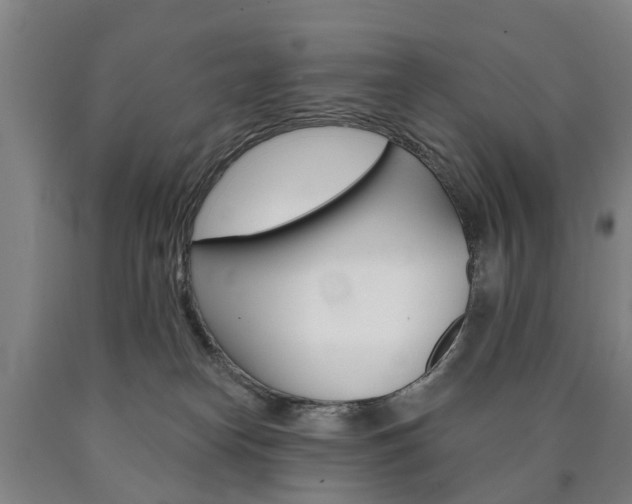 X0000090910182200707301040