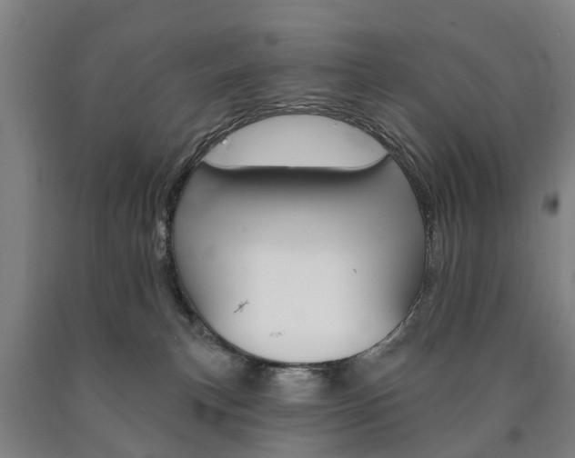 X0000090910183200707301040