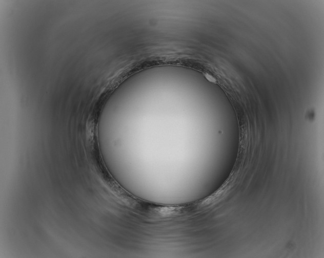X0000090910184200707301040