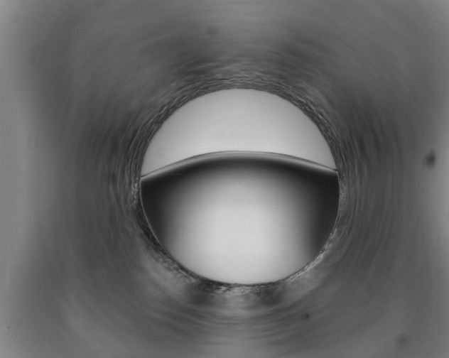 X0000090910186200707301040