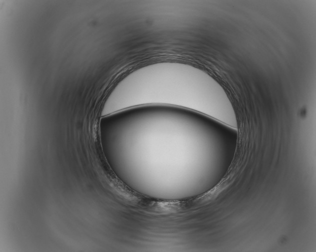 X0000090910188200707301040