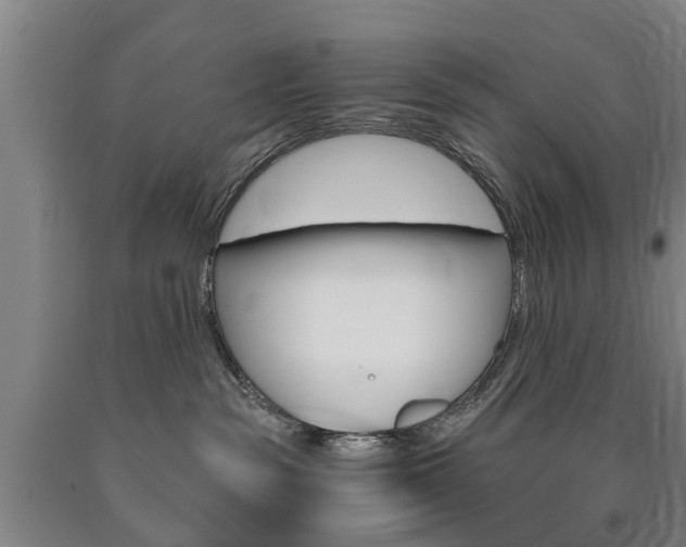 X0000090910189200707301040