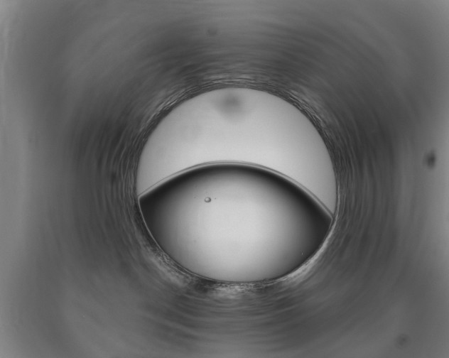 X0000090910190200707301040