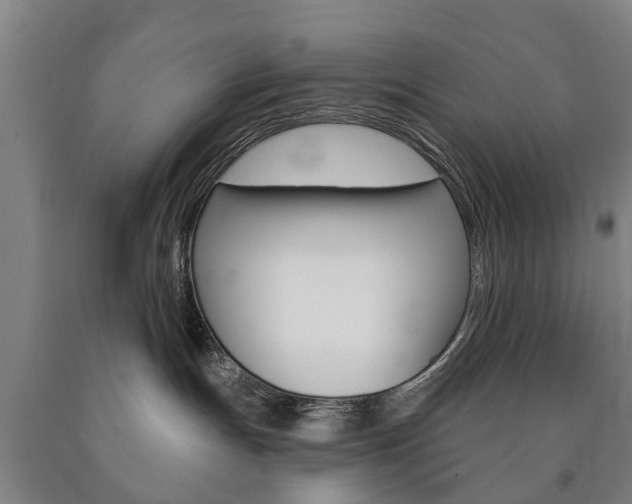 X0000090910191200707301040
