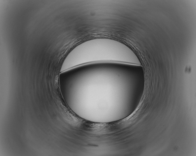 X0000090910192200707301040