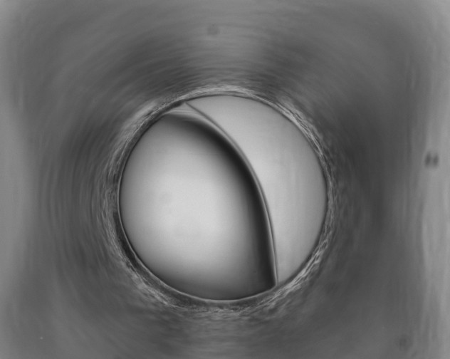 X0000090910193200707301040