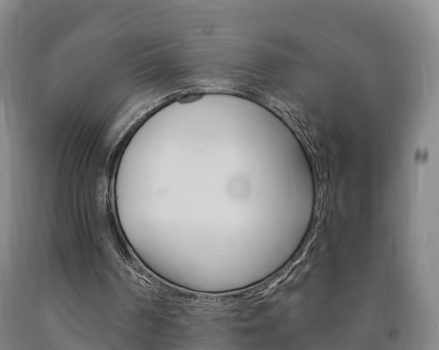X0000090910194200707301040