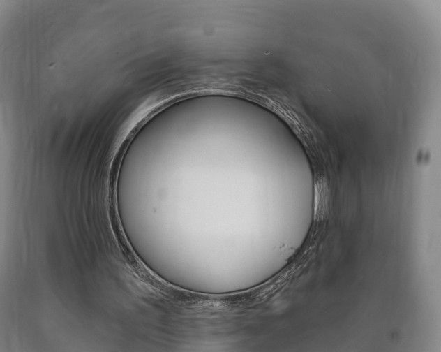X0000090910195200707301040