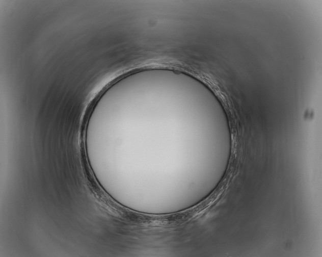 X0000090910196200707301040