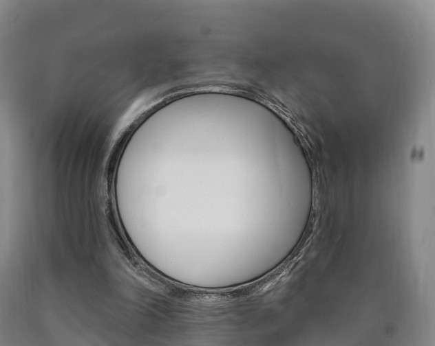 X0000090910198200707301040