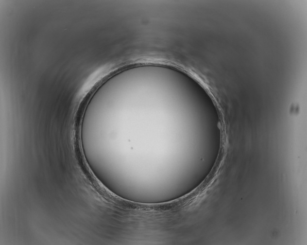 X0000090910199200707301040