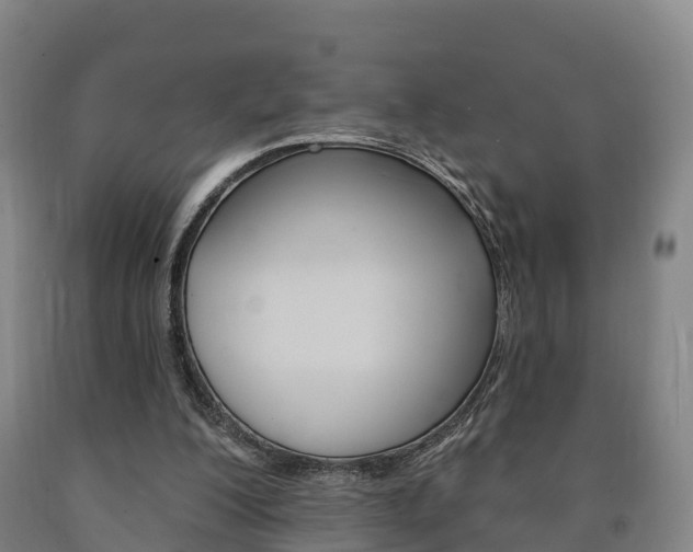 X0000090910200200707301040