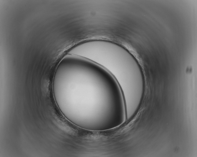 X0000090910201200707301040