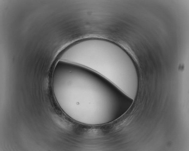 X0000090910204200707301040