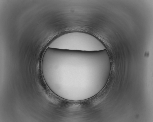 X0000090910206200707301040