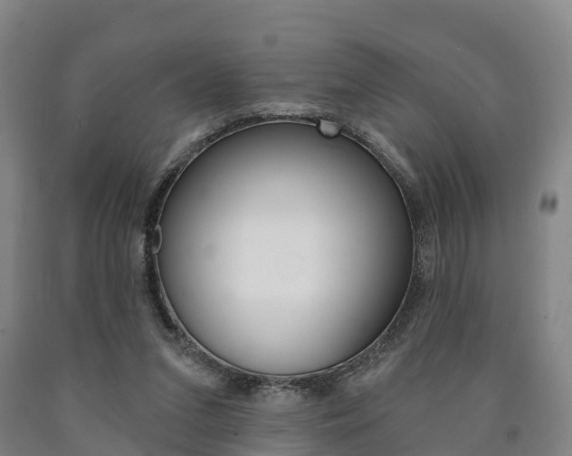 X0000090910207200707301040