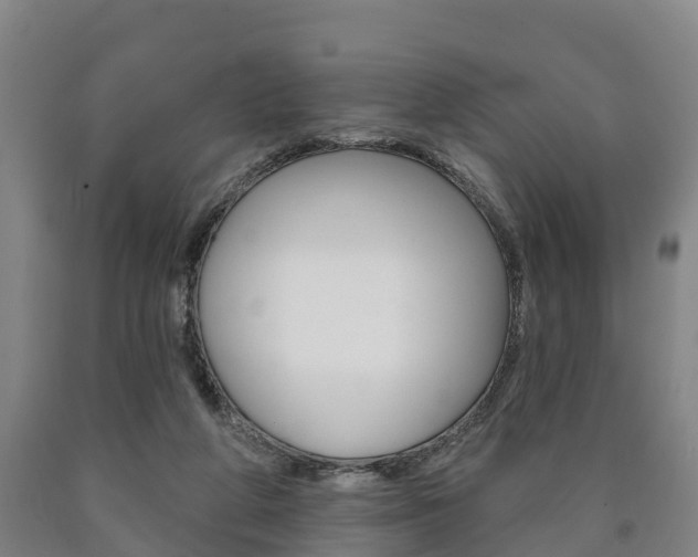 X0000090910210200707301040