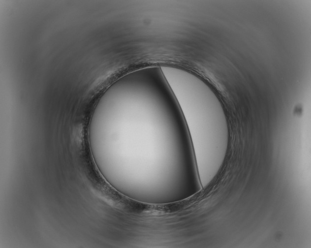 X0000090910211200707301040