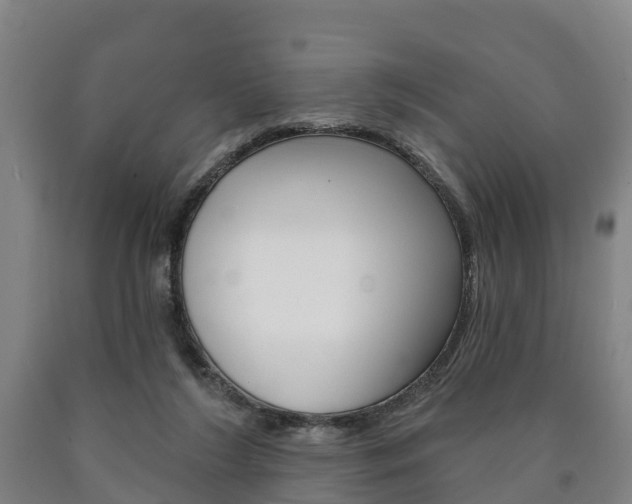 X0000090910212200707301040