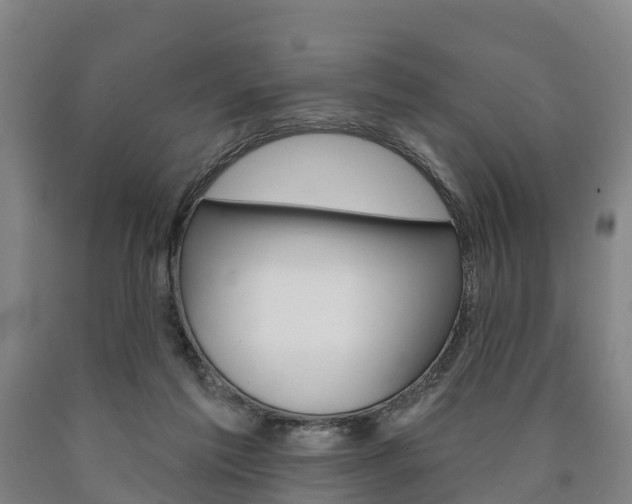 X0000090910213200707301040