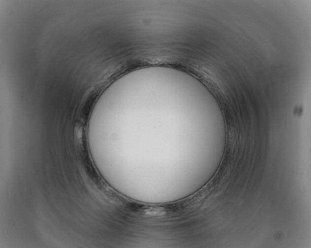 X0000090910214200707301040