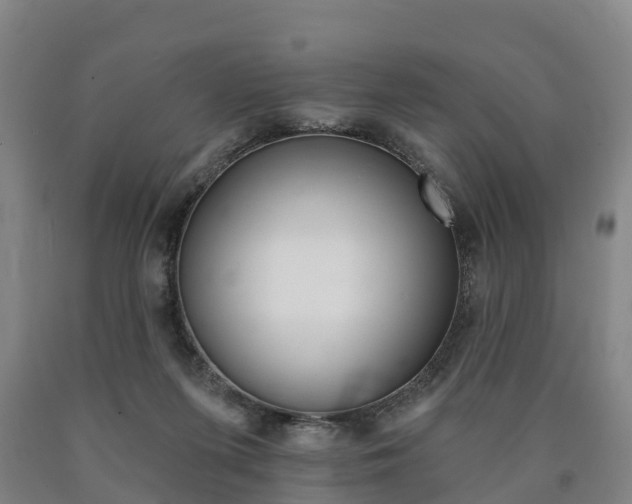 X0000090910215200707301040