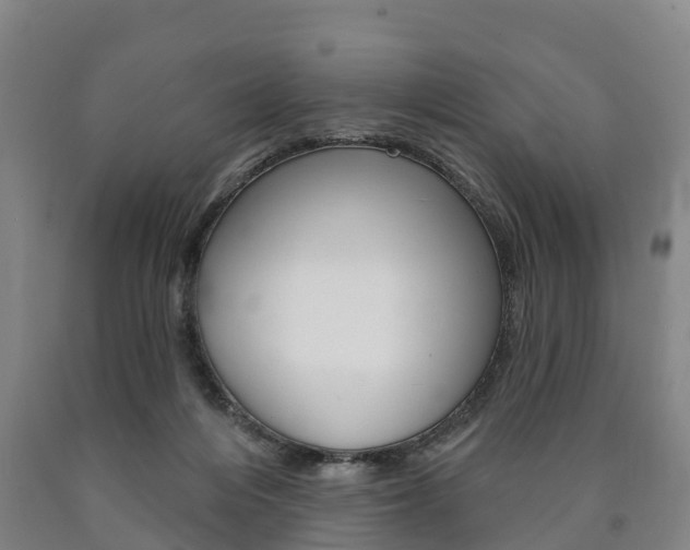 X0000090910216200707301040