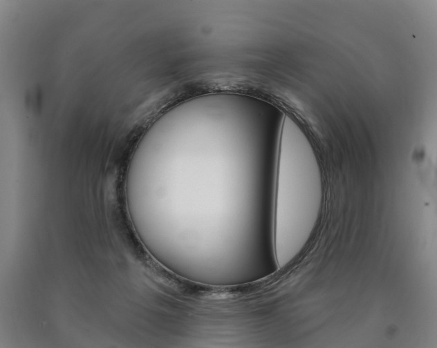 X0000090910217200707301040