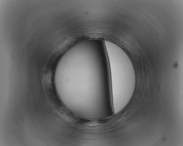 X0000090910219200707301040