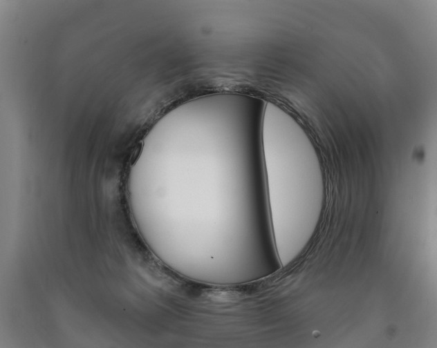 X0000090910221200707301040