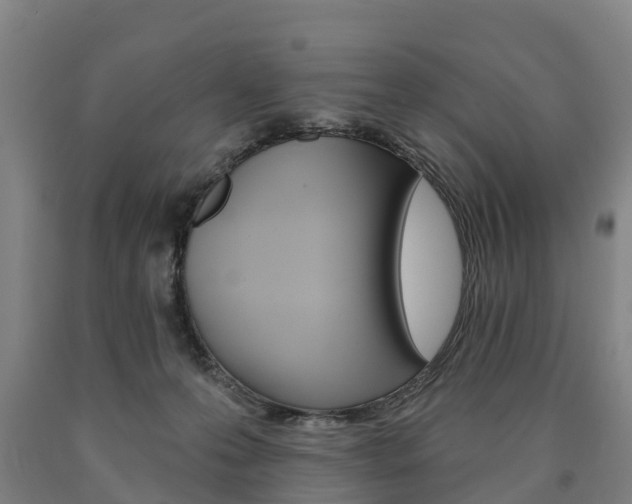 X0000090910223200707301040