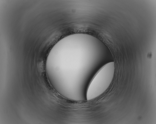 X0000090910224200707301040