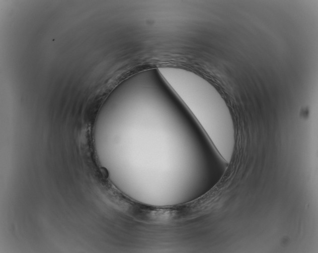 X0000090910225200707301040