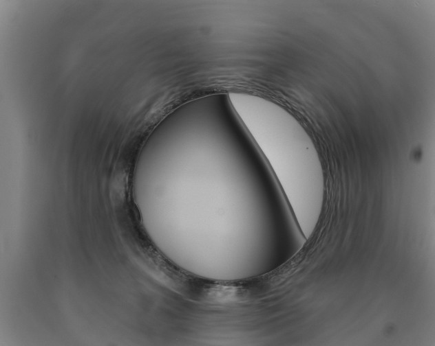 X0000090910227200707301039
