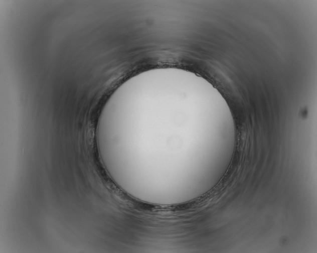 X0000090910228200707301039