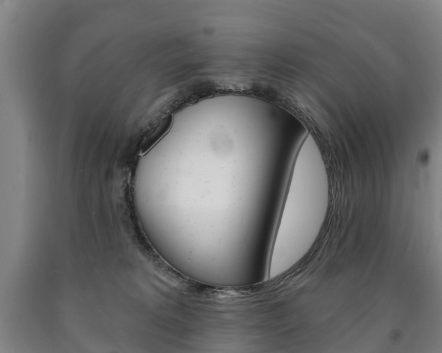 X0000090910229200707301039