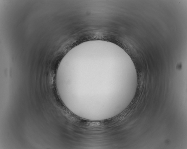 X0000090910230200707301039