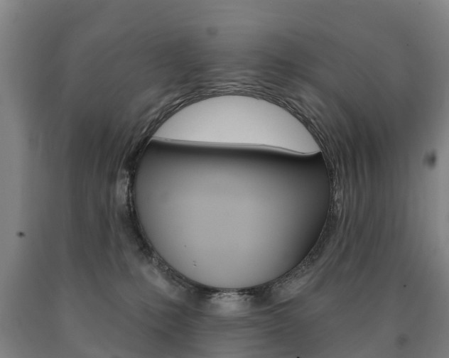 X0000090910231200707301039