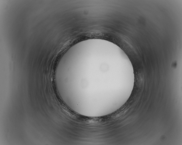 X0000090910232200707301039