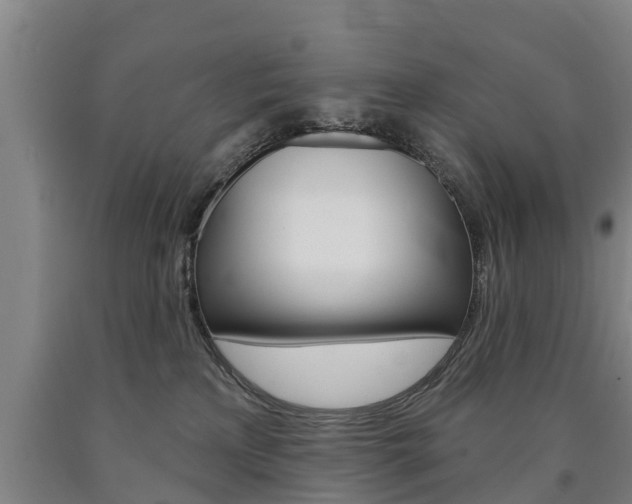 X0000090910233200707301039