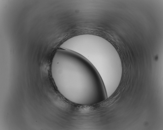 X0000090910235200707301039