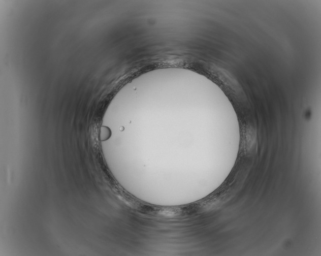 X0000090910236200707301039
