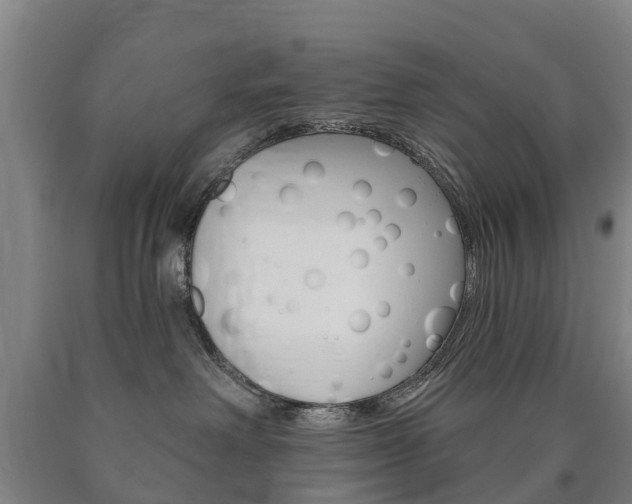 X0000090910238200707301039