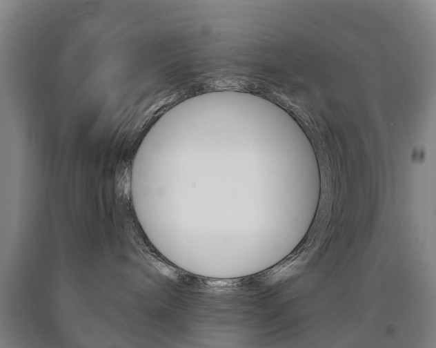X0000090910240200707301039