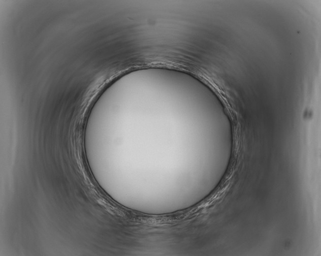 X0000090910241200707301039