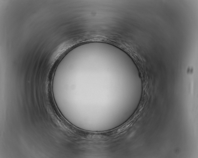 X0000090910242200707301039